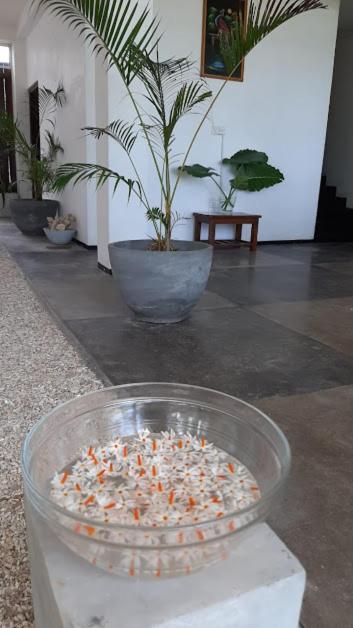 Akurala Beach Boutique Resort المظهر الخارجي الصورة