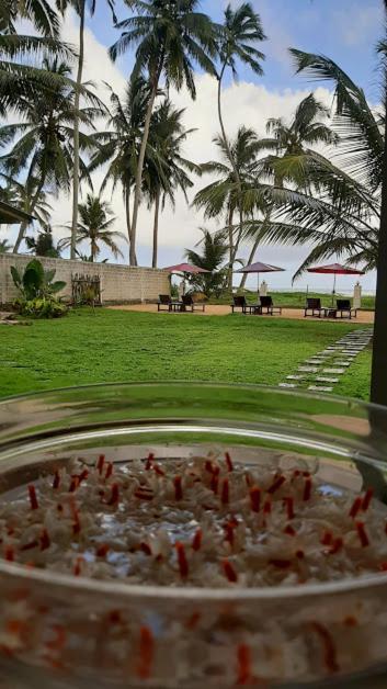 Akurala Beach Boutique Resort المظهر الخارجي الصورة