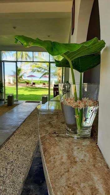 Akurala Beach Boutique Resort المظهر الخارجي الصورة